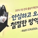 해피아이 태권도 이미지