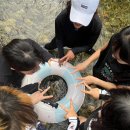 계곡에풍덩펜션캠핑장 이미지