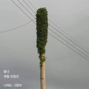 찰나 이미지