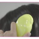 욜로홀로