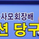 당사모 당구클럽 이미지