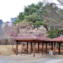 율하체육공원 생태연못 이미지