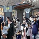 토종집(빨래골옻닭) 이미지