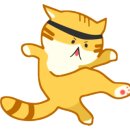 리듬태권도 이미지
