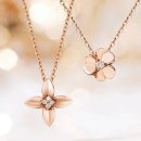 데일리 PC CAFE 이미지