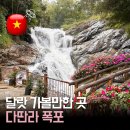 청라언덕 경관 포토 | 나트랑 달랏 자유여행 코스 다딴라 폭포 입장료 알파인 코스터 후기