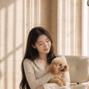 스탠딩솔루션