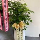 이가공인중개사사무소 이미지