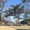 산호애견 이미지