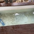 작은 동물원 이미지