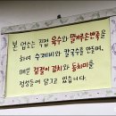 엄마손해물칼국수