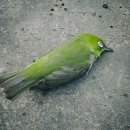 원주카톨릭병원 이미지