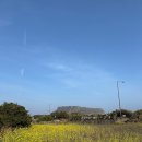 단지PC | 직장인 뚜벅이도 떠나요 제주도 | 명절을 알차게 | 4박 5일 두 번째
