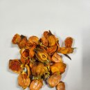 동암경희한의원 이미지