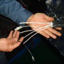 카짱모터스 이미지