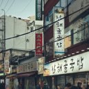 쯔란양꼬치 | 동대문 맛집 동북화과왕 25년 내공의 양꼬치 노포 지삼선 쯔란양고기 솔직후기