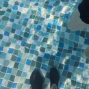 델피노 I 이미지