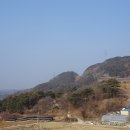 낙동강원시비경탐방로 Daum카페