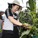 김상경 농장 이미지