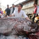 서남구수협앞 이미지