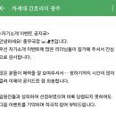 일개미
