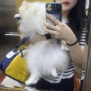 시우스쿨링 이미지