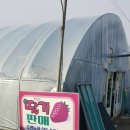 주연농장 이미지