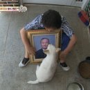 영정농장 이미지