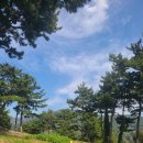 안좌해변운동장 축구장 | [걷기] 남파랑길 44코스 (남해바래길 12코스)