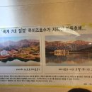 비바체(7대) 이미지