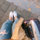 찬우목장 네이버블로그