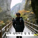 꼬두람이 이미지