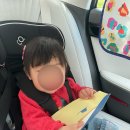 나들가게 쌍둥이하이퍼 | 강릉 아기랑 가볼만한 곳 추천｜쌍둥이 동물농장 솔직 후기 (놀이+체험 다 되는 곳!)