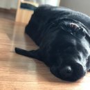 바다여행펜션 이미지