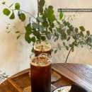 지월로55번길 | 광주 곤지암 카페 추천 푸릇푸릇함 속에서 힐링하기 좋은 유칼립투스농장