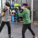 서부복싱 이미지