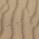 지구별여행자 이미지