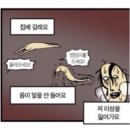 온천2동-8 | 동래 모노필라테스 추천 체형 자세교정 가능한 4:1 그룹레슨 후기