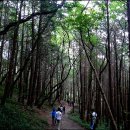 찬물샘약수터 이미지