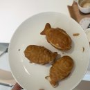 벤첼리 이미지