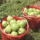 이형우농장 이미지