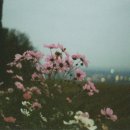 모임별 이미지