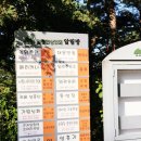 임천약국 이미지