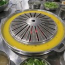 장수갈매기 이미지