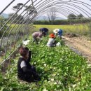 달성농장 이미지