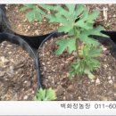 외치농장 이미지