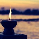 하나의선택 이미지