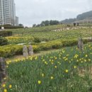 행복짱공인중개사사무소 이미지