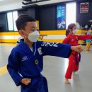 나우GN태권도장 이미지