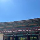 굴림샤브&콩국수